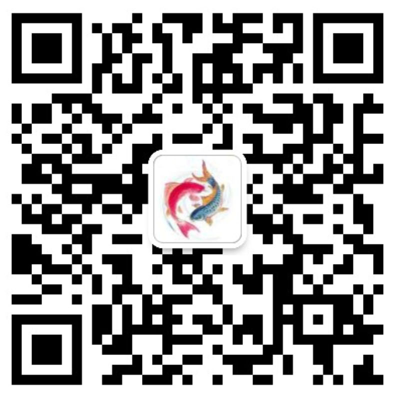 365��������